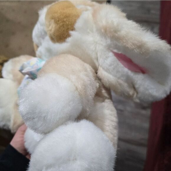 Dandee International - Picture 4 of 9